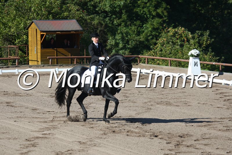 009M4425_Diamant Wittinger_Dressur S Nachwuchs.JPG